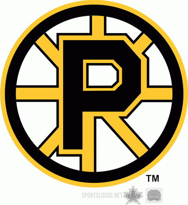 Providence Bruins 1995 96-2011 12 Primary Logo iron on heat transfer...